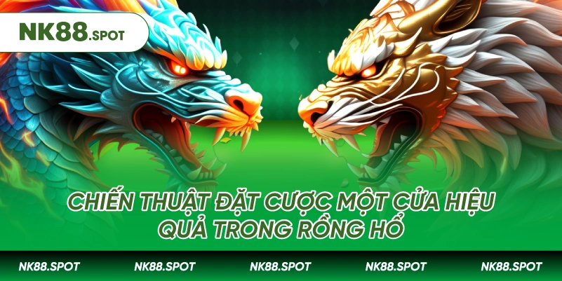 Chiến thuật đặt cược một cửa hiệu quả trong Rồng Hổ